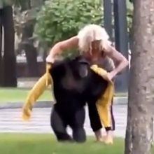Į Charkovo zoologijos sodą šimpanzę privertė grįžti lietus