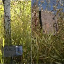 Vilniečiai – pikti: žolė nešienaujama ne tik mieste, bet ir gyvūnų kapinėse