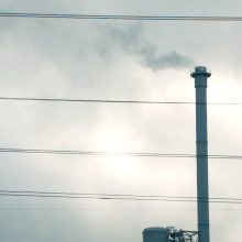 L. Kazlauskienė baiminasi netoliese išdygusios jėgainės: politikai nusispjovė į mus