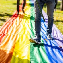 Seimo kontrolierė: policija neužtikrino LGBT bendruomenės teisės į taikų susirinkimą