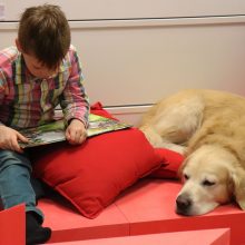 Skaitymas su šunimi padeda ne tik vaikams, bet ir po insulto ar sergant Alzheimeriu