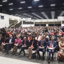 LSDP ragina balsuoti už dvigubą pilietybę, ignoruoti referendumą dėl Seimo narių