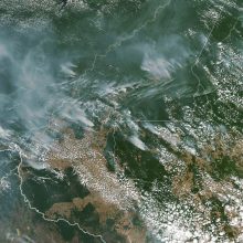 Astronautas iš TKS: Amazonės gaisrų dūmai driekiasi tūkstančius kilometrų
