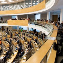 Seimo vicepirmininkas: parlamentinių lėšų skyrimo tvarka gali būti tobulinama