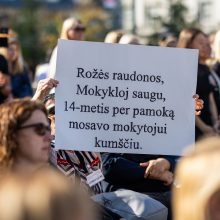 Mokytojai protestuoja prie Vyriausybės: iš vieno grūdo negalime išgyventi