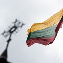Neblaivus vyras ant žemės numetė Lietuvos vėliavą, nulaužė jos stiebą
