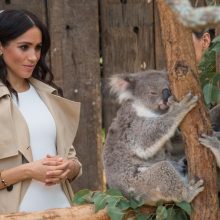 Australijoje viešintys princas Harry ir besilaukianti Meghan atsidūrė dėmesio centre