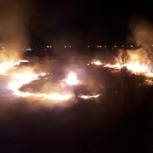 Praėjusią parą vėl siautėjo padegėjai: išdegė beveik 165 ha žolės
