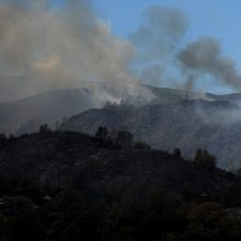 Amerikoje ir toliau siaučia miškų gaisrai, žuvo vienas žmogus