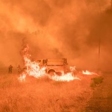 Kalifornijoje ugniagesiai kovoja su didžiuliais miškų gaisrais