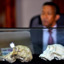 Rasta beveik 4 milijonų metų senumo kaukolė: tai – žmonių evoliucijos ikona