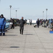 Palangos tiltą okupavo žvejai: laimikiai – įspūdingi