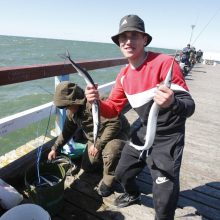 Palangos tiltą okupavo žvejai: laimikiai – įspūdingi