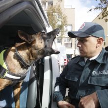 Pareigūnas: tarnauti policijoje išmokytas belgų aviganis nėra tas šuo, kurį bet kas galėtų glostyti.