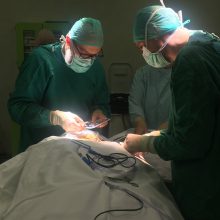 Įžiebė viltį: Lietuvoje – naujos gydymo galimybės epilepsija sergantiems pacientams