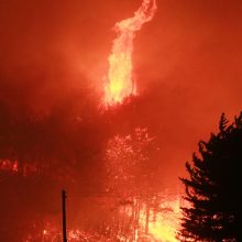 Pietų Korėjoje dėl miško gaisrų paskelbta nepaprastoji padėtis