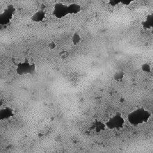 A.Palevičius. Membranos, pagamintos iš aliuminio oksido, vaizdas per skanuojantį elektroninį mikroskopą.