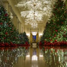 Baltųjų rūmų pasiruošimas Kalėdoms: tarp dekoracijų – meduolinė Nacionalinė alėja