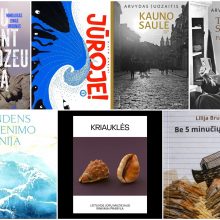 „Klaipėdos knyga 2020“: sukrečianti proza ir edukaciniai leidiniai