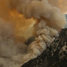 Per beprecedenčius gaisrus JAV vakaruose žuvo 15, evakuota 500 tūkst. žmonių