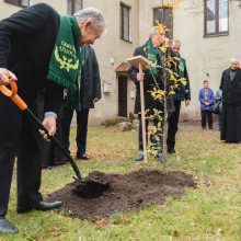 Sambūrio „Gerumo ąžuolas“ susitikimas: katedros šventoriuje pasodino ąžuolą