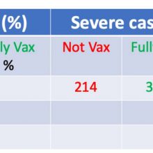Vakcinacija ir COVID-19 statistika: kaip paprastam žmogui susigaudyti, kokia ta tikroji situacija?