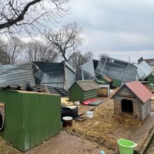 Gyvūnų prieglaudoje Klaipėdos rajone vėjas suniokojo voljerus: prašo pagalbos