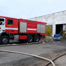Alytaus miesto savivaldybės atstovė: tikimasi, kad šiandien gaisrą pavyks užgesinti