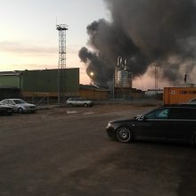 Dėl gaisro Alytuje ekstremali situacija valstybėje neskelbiama