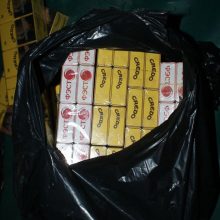 Muitininkai Lazdijų pelkėje aptiko kilnojamą kontrabandinių cigarečių sandėlį