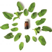 Augalų kvapai – geresnei savijautai ir stipresniam imunitetui