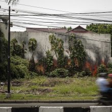 Gatvės meno aidas iš Indonezijos miškų