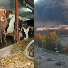 „Toksikai“, ugniagesių tyrimams, Alytaus ūkininkams – dar 1,2 mln. eurų