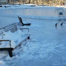 Klaidos lemia ir potvynius: pašalus parkas virto čiuožykla