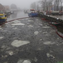 Dėl teršalų Klaipėdos Danėje ekstremali situacija dar neatšaukiama