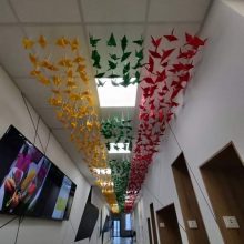 Lankstydama vėliavos spalvų gerves VDU Ugnės Karvelis gimnazijos bendruomenė pasiekė rekordą