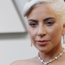 Dainininkė Lady Gaga už pavogtų savo šunų sugrąžinimą siūlo 500 tūkst. dolerių atlygį
