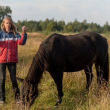 Gyvenimo ir žmonių nuskriausti arkliai ramybę randa „Arklių slėnyje“