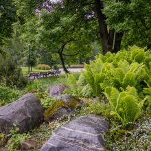 Prieš 10 metų pradėtas Bernardinų sodo rekonstravimo projektas ir šiandien – tikra poilsio oazė