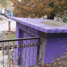 Kauniečiai stebisi iš tolo violetine spalva rėkiančiu namuku: su miestu tai nederinta