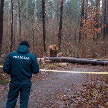 Kas pavertė Kleboniškio mišką sprogdinimų poligonu?