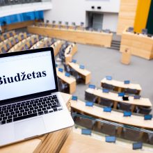 „Valstiečiai“ ir „Vardan Lietuvos“ biudžeto Seime nežada palaikyti
