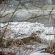 Grėsmė tolsta: Neryje vanduo nebekyla, potvynio nenusimato