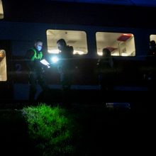 Petrašiūnuose po traukinio ratais žuvo jauna moteris