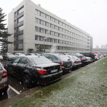 Orų šėlsmas pridarė daug bėdų: virtę medžiai trukdė eismui, aplamdė automobilius