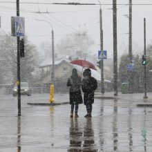 Orų šėlsmas pridarė daug bėdų: virtę medžiai trukdė eismui, aplamdė automobilius