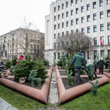 Kalėdinės nuotaikos Kaune – vis daugiau: prie savivaldybės jau puošiamas kalėdinių eglučių parkelis