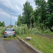Kontrastai Kaune: vienur – svilinanti kaitra, kitur – skęstančios gatvės ir lūžtantys medžiai