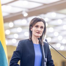 V. Čmilytė-Nielsen tikisi diplomatijos vadovų sutarimo dėl ambasadorių: diskusija užsitęsė