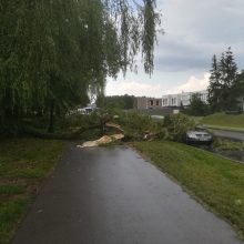 Kontrastai Kaune: vienur – svilinanti kaitra, kitur – skęstančios gatvės ir lūžtantys medžiai
